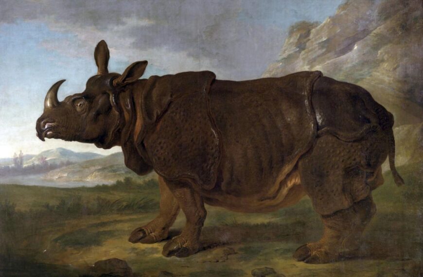 Fun exhibition tells the story of Clara the rhino