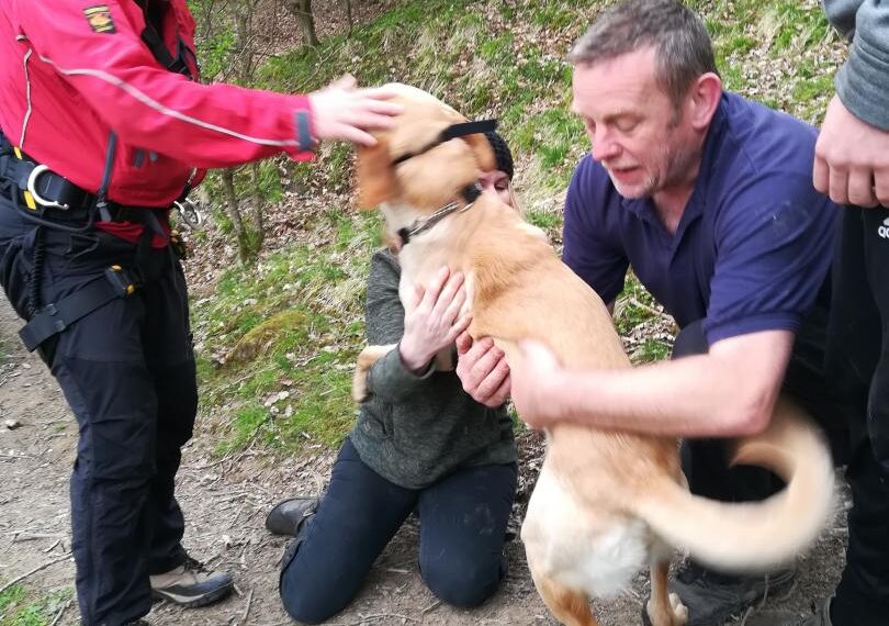 Dog rescued near Cotherstone after&hellip;