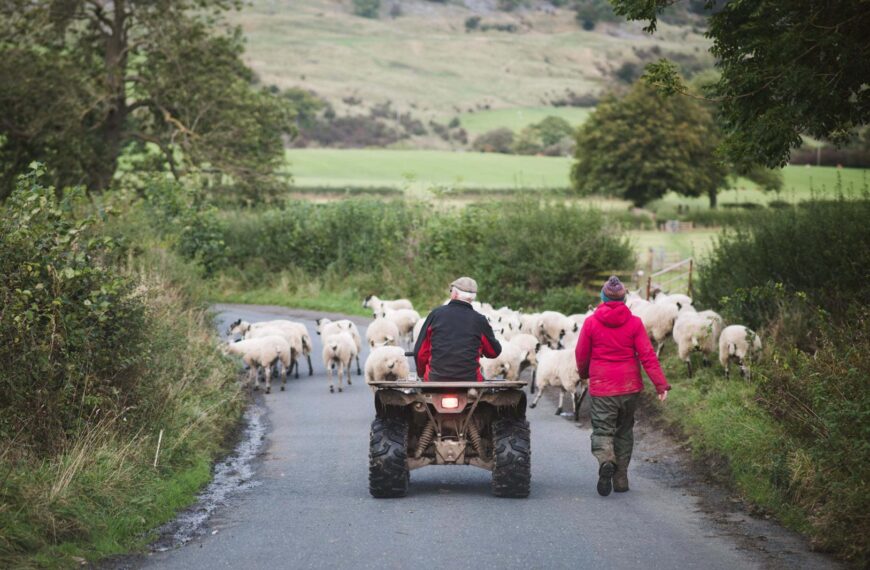 Landowners urged to think of cyclists when cutting hedges