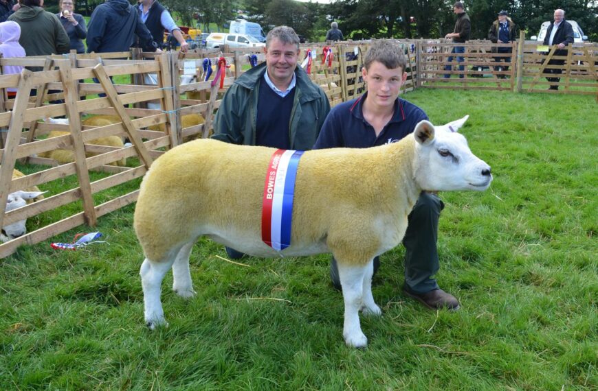 Teward’s terrific Texel takes title…