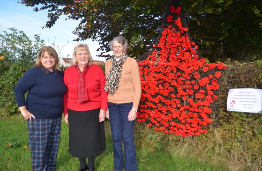 WI members create stunning poppy&hellip;