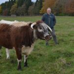 Raby herd is judged best in the&hellip;