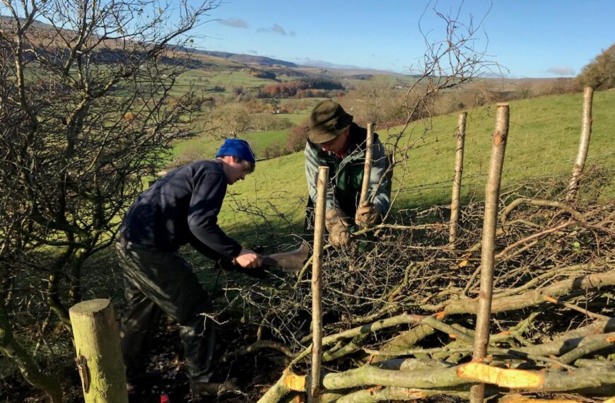 Laying the groundwork to safeguard&hellip;