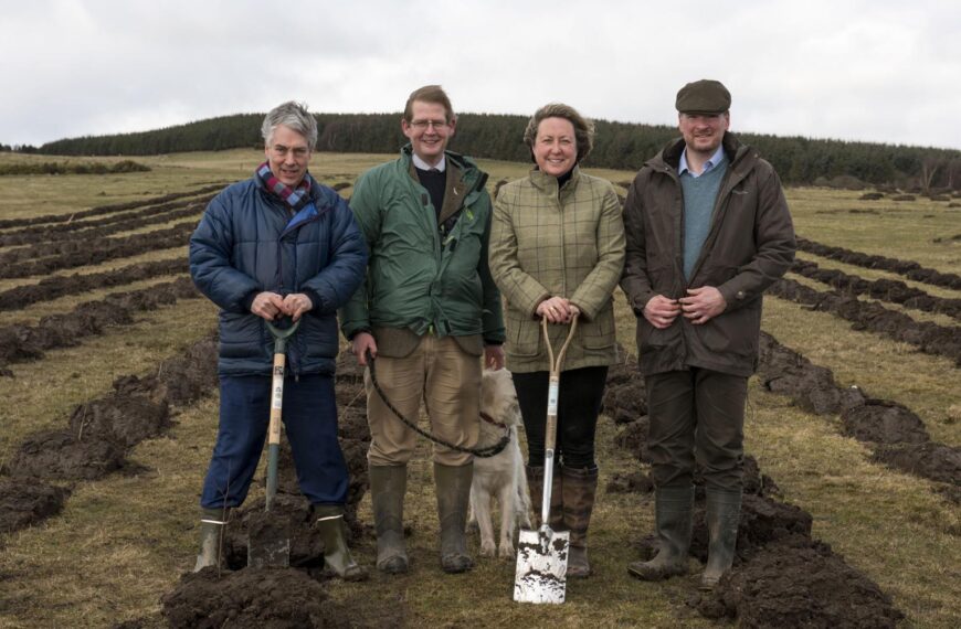 Teesdale man heads huge forestry&hellip;