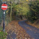 Leaves on the lane’ in Startforth not…