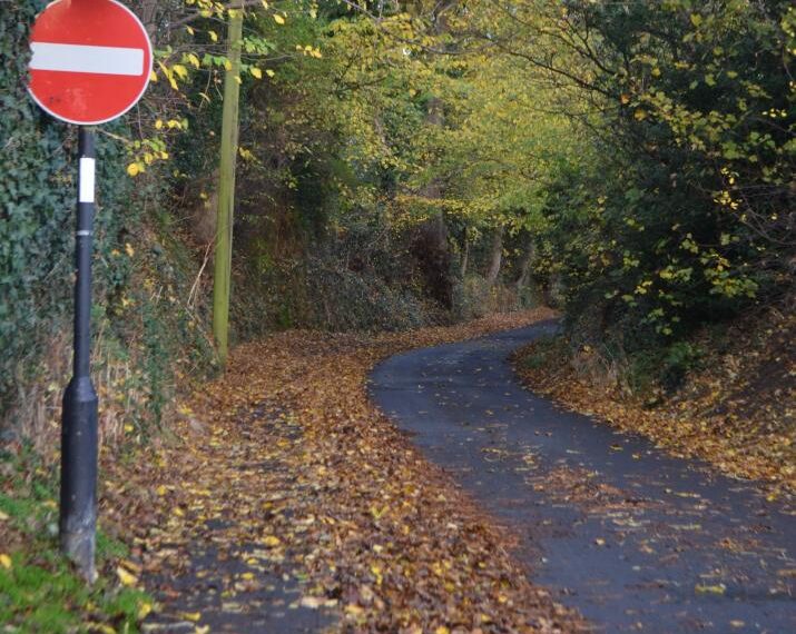 Leaves on the lane’ in&hellip;