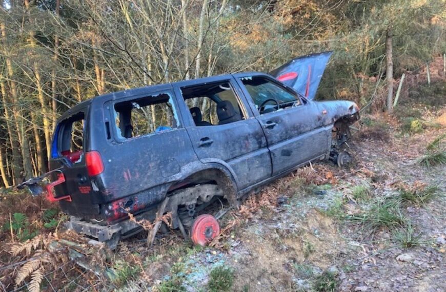 Historic forest track under attack…