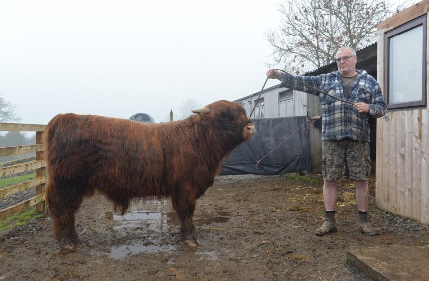 Farming couple bullish about prospects at UK’s biggest shows