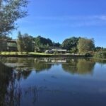 New study shows innovative reed bed system&hellip;
