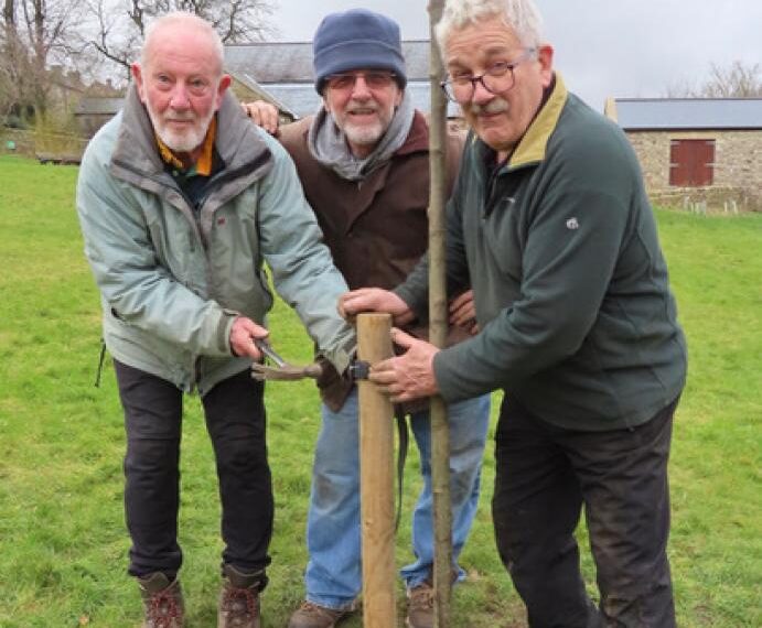 Tree planting kicks off celebrations&hellip;