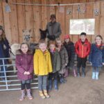 Town pupils mark British Science Day