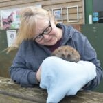 New ‘hedgehog hub’ to open at animal&hellip;