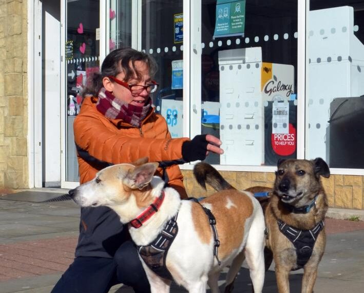 Lucy comes to street dogs’&hellip;