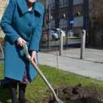 Memorial tree pays tribute to friendship