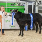 Young Lily’s success in cattle show