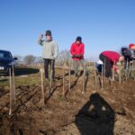 Record-breaking 12 months for tree planting volunteers