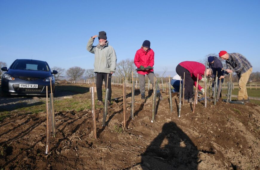 Record-breaking 12 months for tree&hellip;