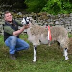 Sheep show makes a cracking return after…