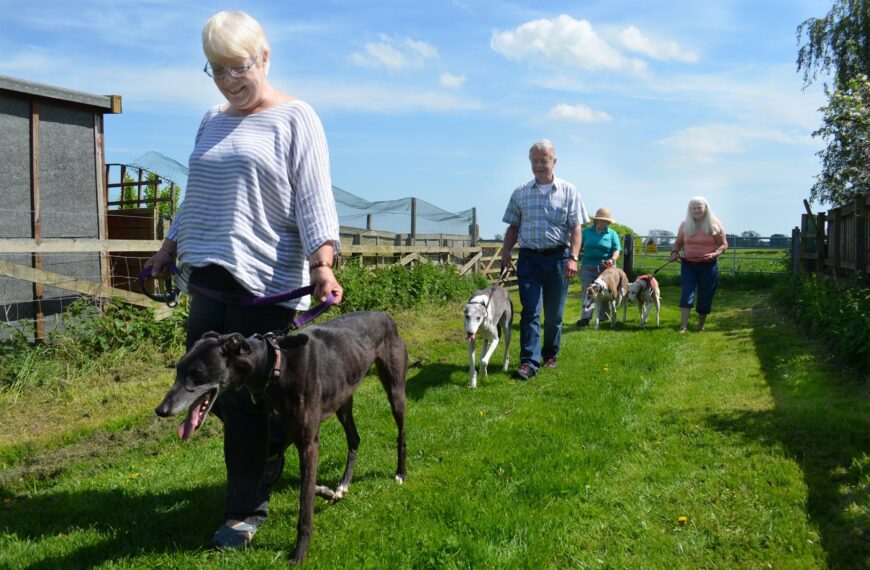 Dog lovers plan Great Global&hellip;