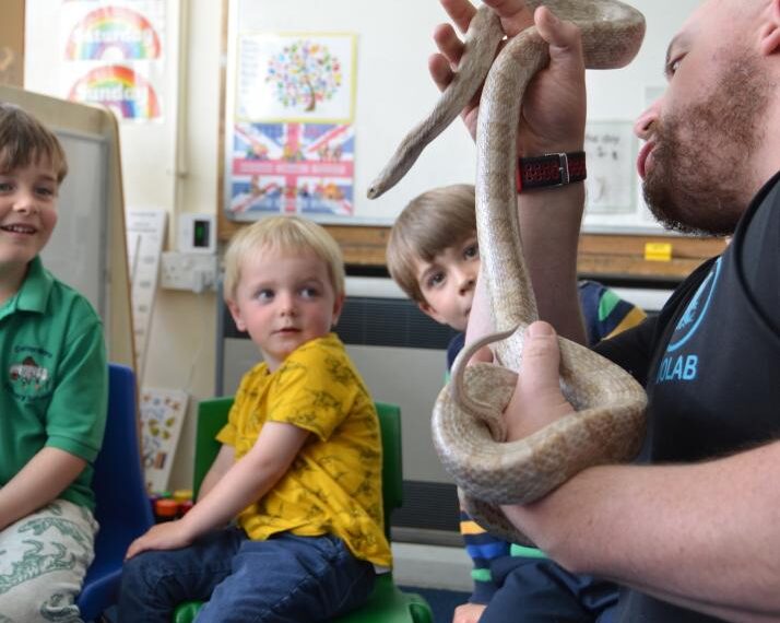 Snake’s alive! Romeo proves star&hellip;