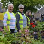Plant sale raises cash to buy tree&hellip;