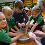 Spotlight on sheep farming at school