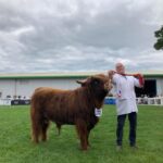 Scottish crown for dale-bred Highland