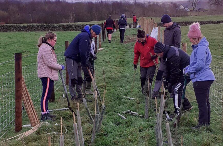 Plea for volunteers to ‘look&hellip;