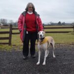 Dog lovers invited to take part in&hellip;