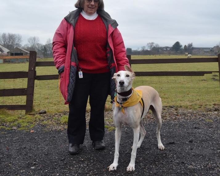 Dog lovers invited to take part in this year’s Great Gobal Greyhound…