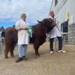 Rosettes galore at Great Yorkshire Show