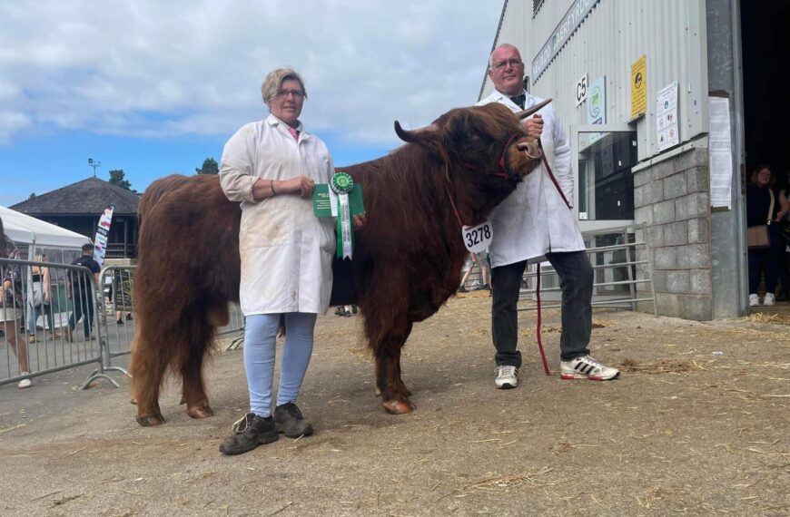 Rosettes galore at Great Yorkshire&hellip;