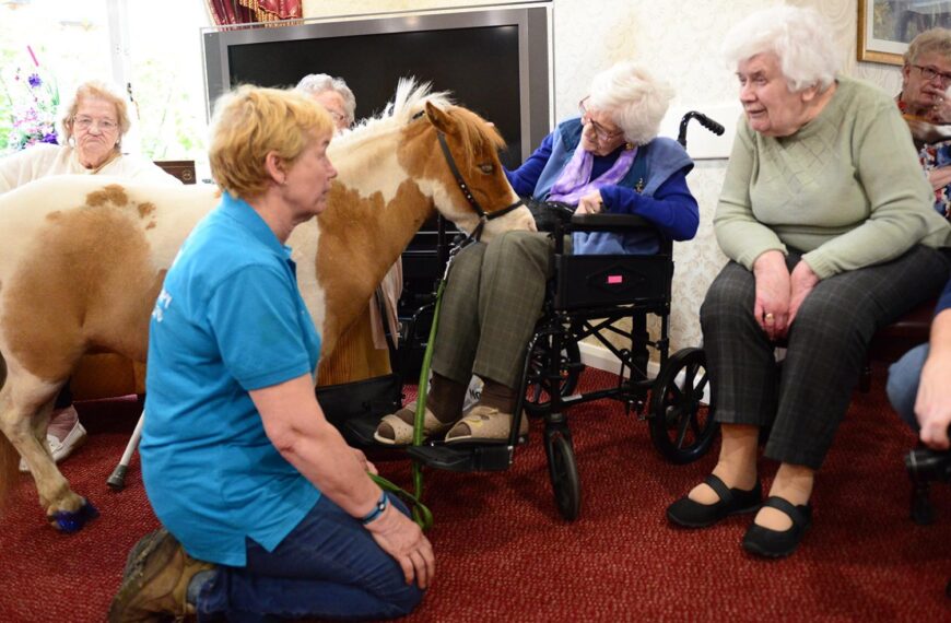 Residents enjoy visit from miniature&hellip;