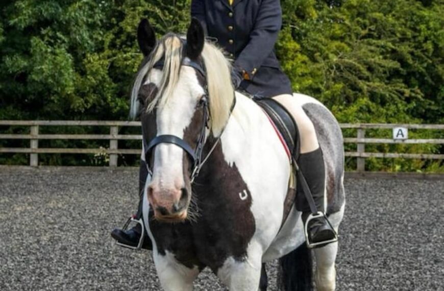 Fundraising effort to help young…
