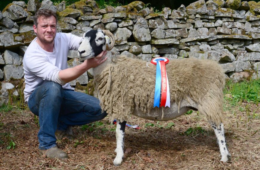 Ewes take top spots at&hellip;