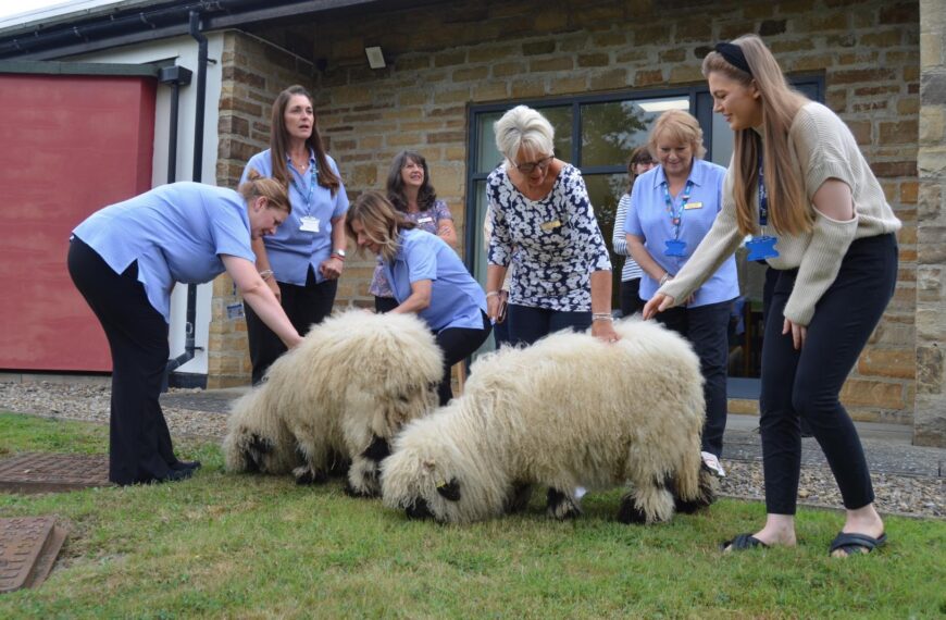 Gainford surgery raises the baa…