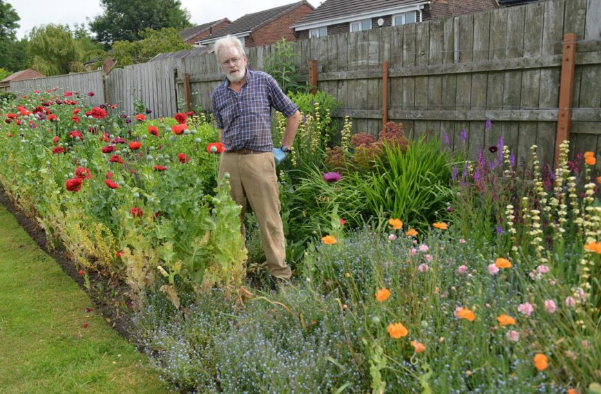 Wartime poppy tribute uncovered at&hellip;