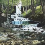 Bowlees exhibition shows the romance of ‘wild…