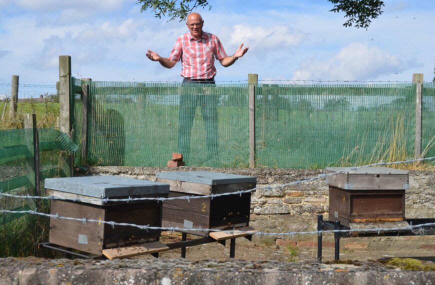 Beekeeper stung by £1,000 honey heist