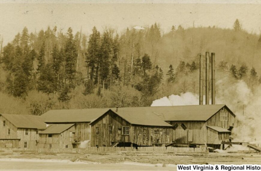Evenwood history sleuths find village’s&hellip;