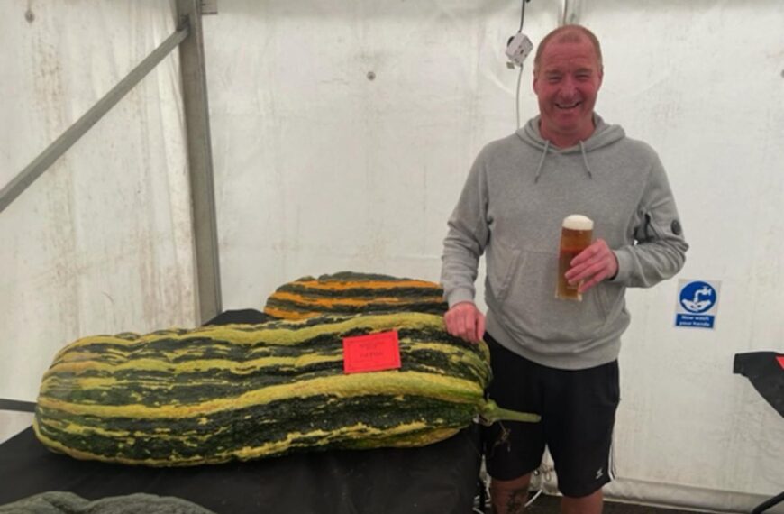 Evenwood growers’ spectacular produce