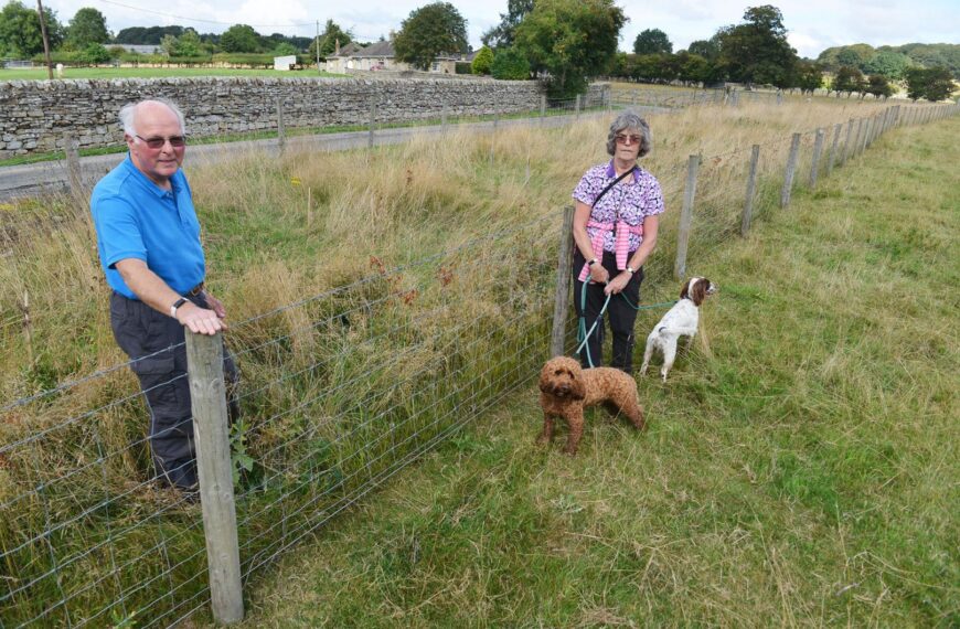 Trees for Teesdale plea for more sites to plant saplings