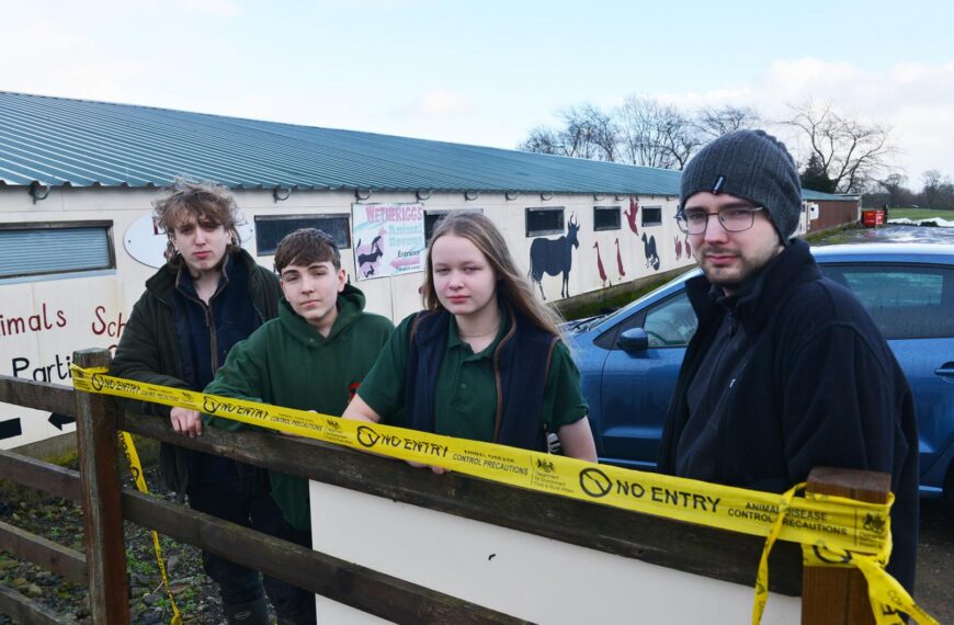 Animal sanctuary in limbo as&hellip;