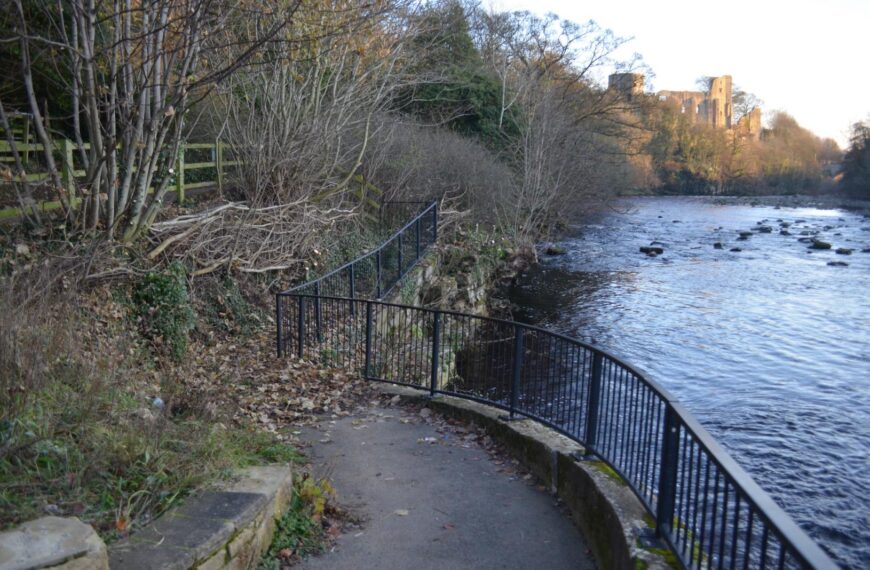 Volunteer efforts open up view of Tees weir