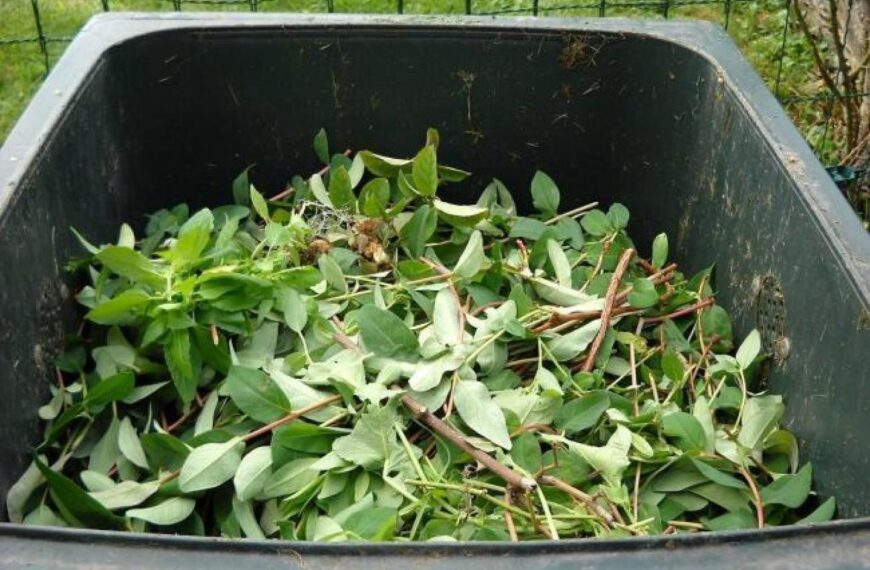 Replacement service for Rotters will expand green waste collection to majority of&hellip;