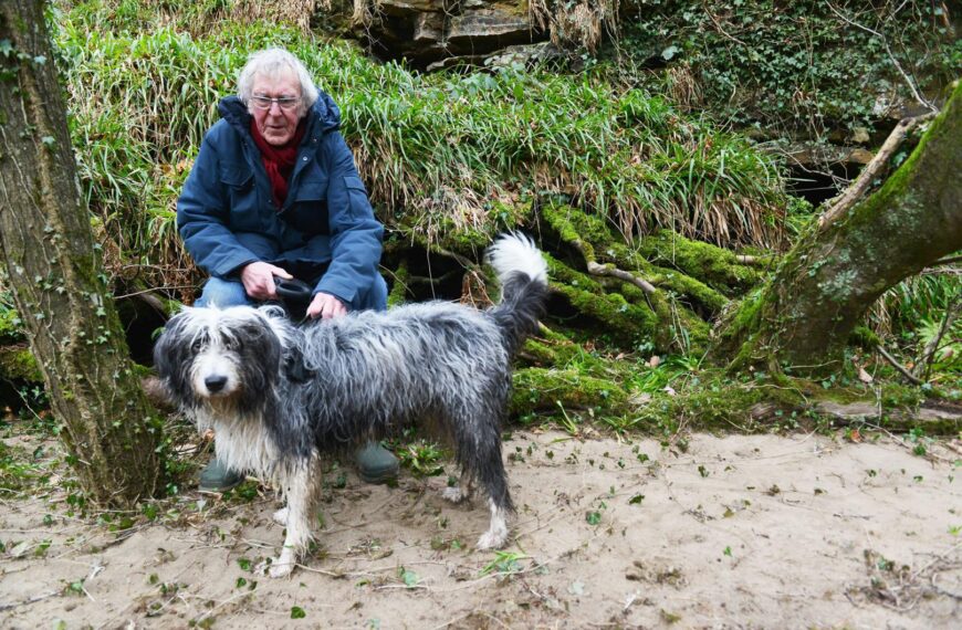 An area near the River Tees in Barnard Castle has been identified as ‘temperate rainforest’
