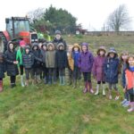 Spades at the ready for tree project