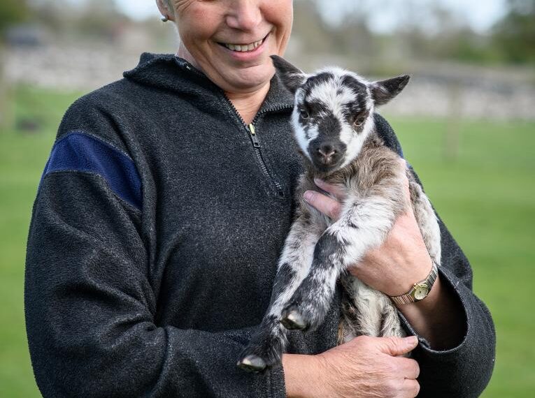 Bowes smallholders helping to preserve&hellip;