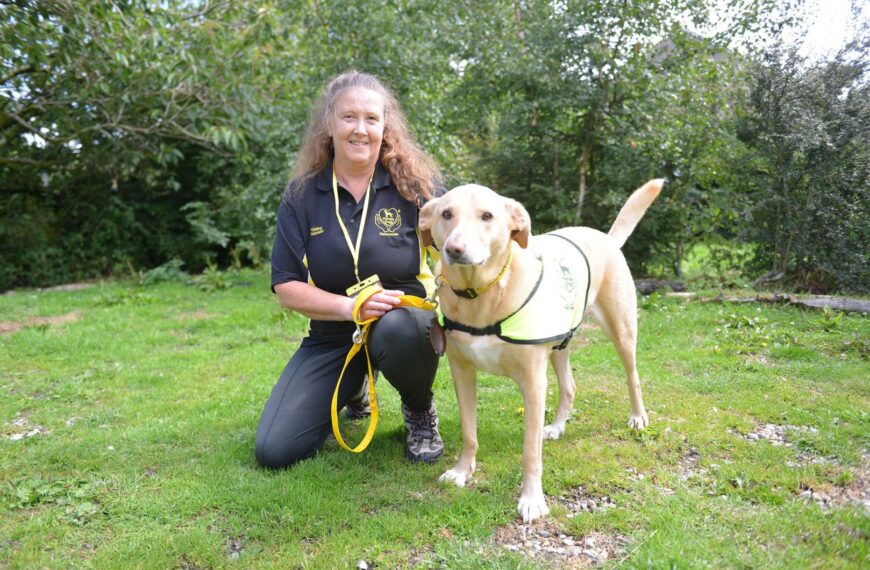 Rescue pet is service new&hellip;