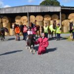 Horse owners’ safety plea to drivers